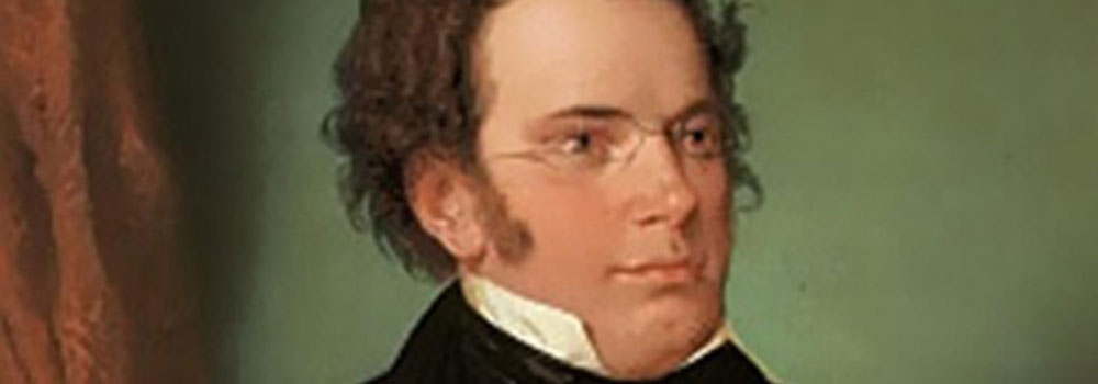 © Jerry & The Pelican System